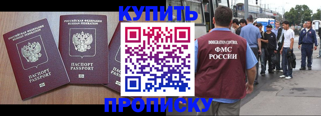 прописка 2025 в Ступино